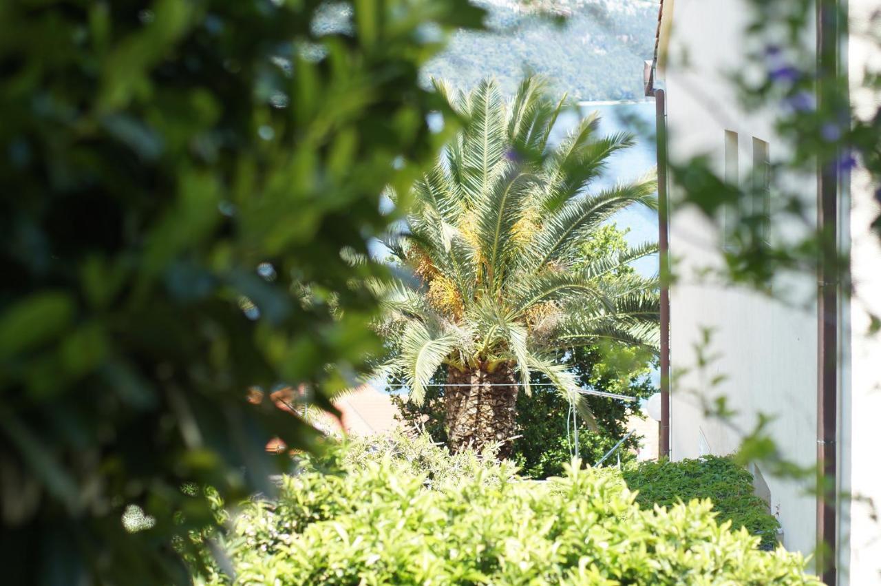 Oasis Blue Apartment กอร์จูลา ภายนอก รูปภาพ